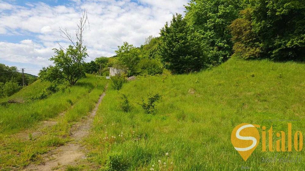 Продаж земельної ділянки, Винники