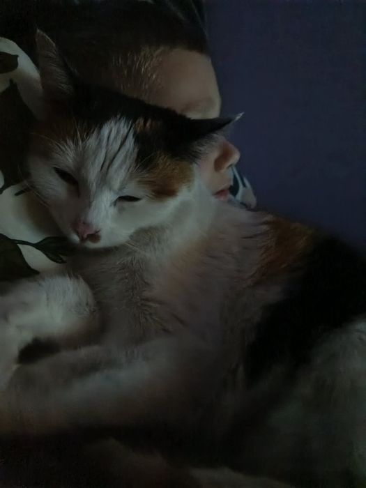 Marfa szuka kochającego domu