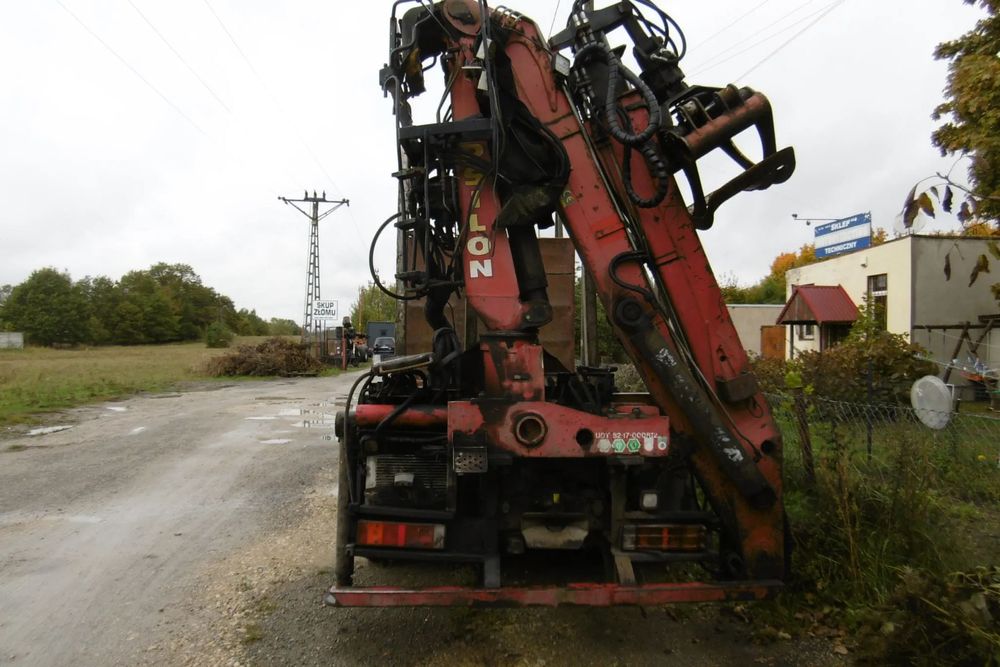 HDS Epsilon do drewna żuraw leśny loglift