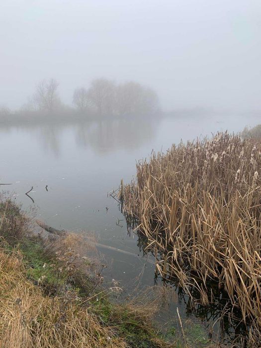 Земельна ділянка з водним об'єктом, площею 7,2052 га, Вінницька обл. - Вид 2