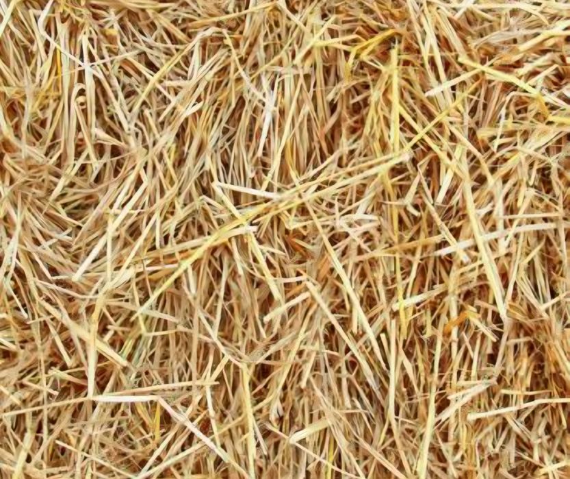 Słoma dla królików psów 4kg
