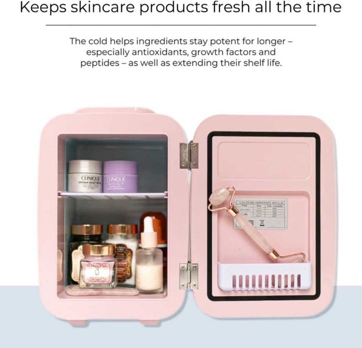 Flamingueo - Frigorífico pequeno portátil, 4 L, 12 V/220 V, rosa, novo