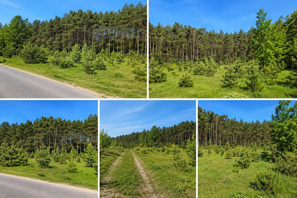 Urokliwa działka budowlana – Łobódź, gmina Aleksandrów Łódzki