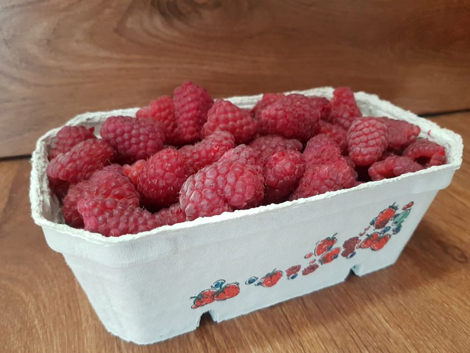 Pojemniki opakowania na maliny owoce borówki 500gr-400szt NADRUK