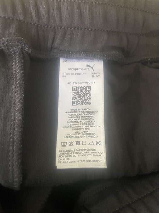Спортивні штани PUMA Evostripe Pants Men
