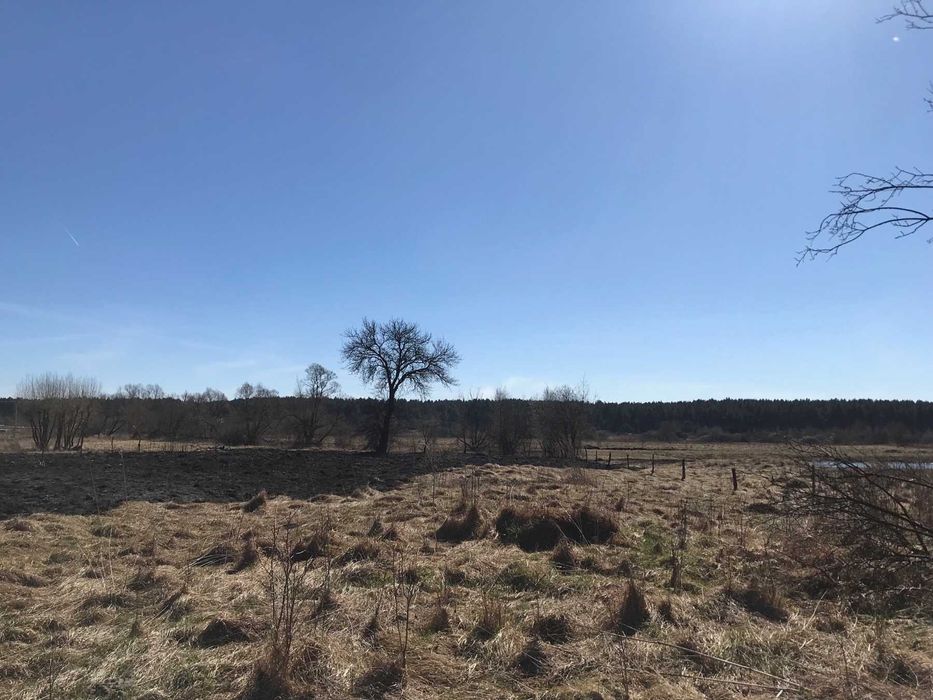 Продаж ділянки м. Яворів. Без комісії