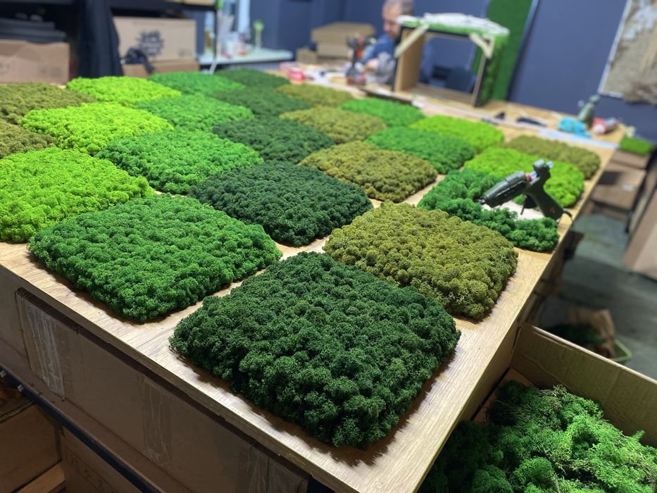 Логотип з Моху. Декор з Мохом