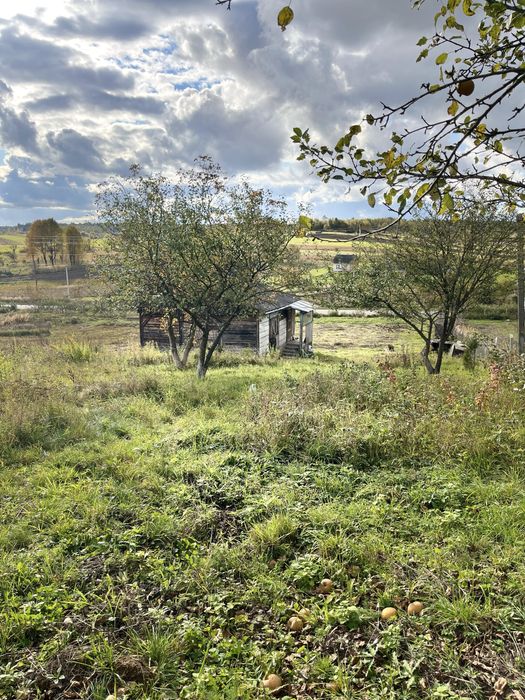 Будинок з земельною ділянкою