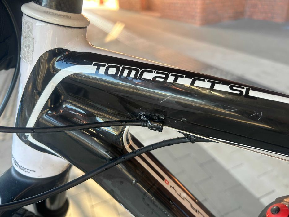 Rower MTB THOMUS Tomcat CT SL - CARBON rama r.19''