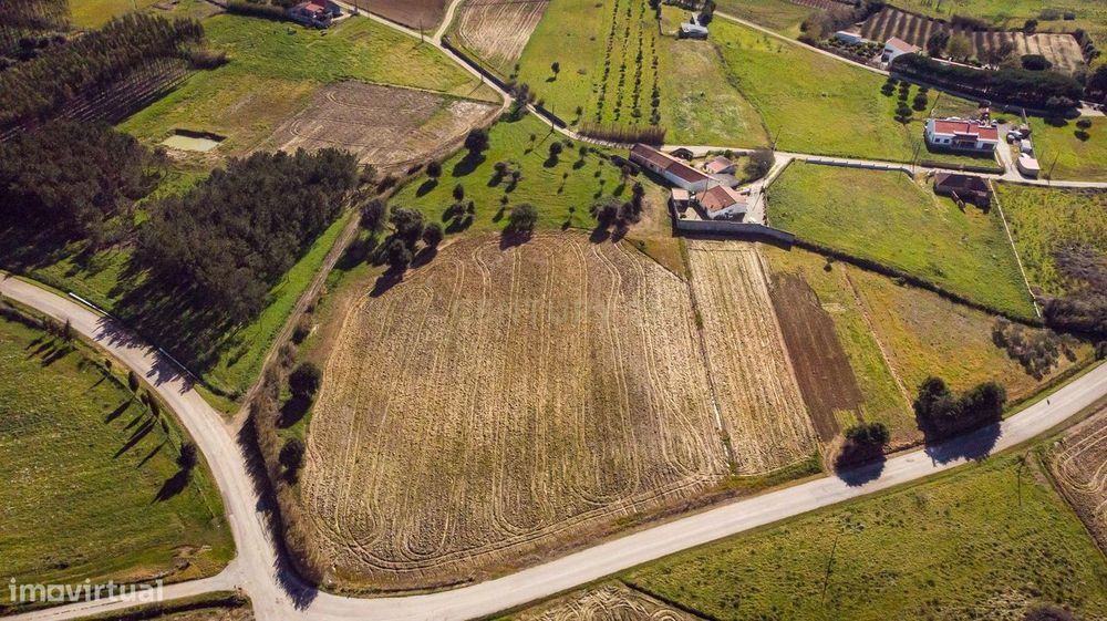 Plot of Land Measuring 12,320 m² for Construction of a Detached House