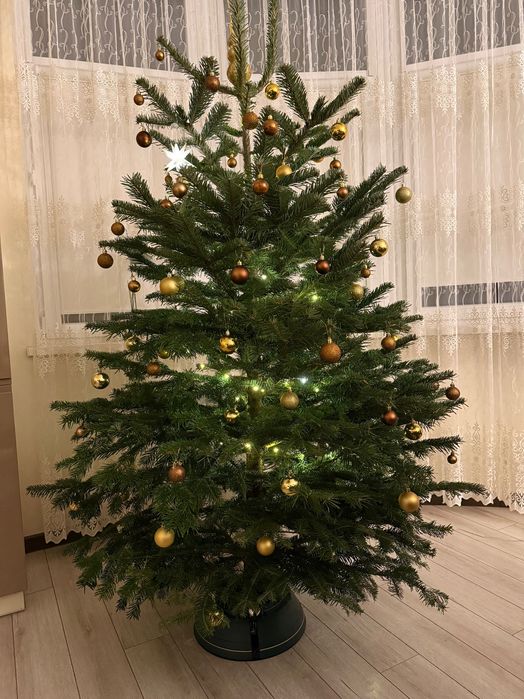 Вивіз новорічних ялинок з приміщень в пункт утилізації