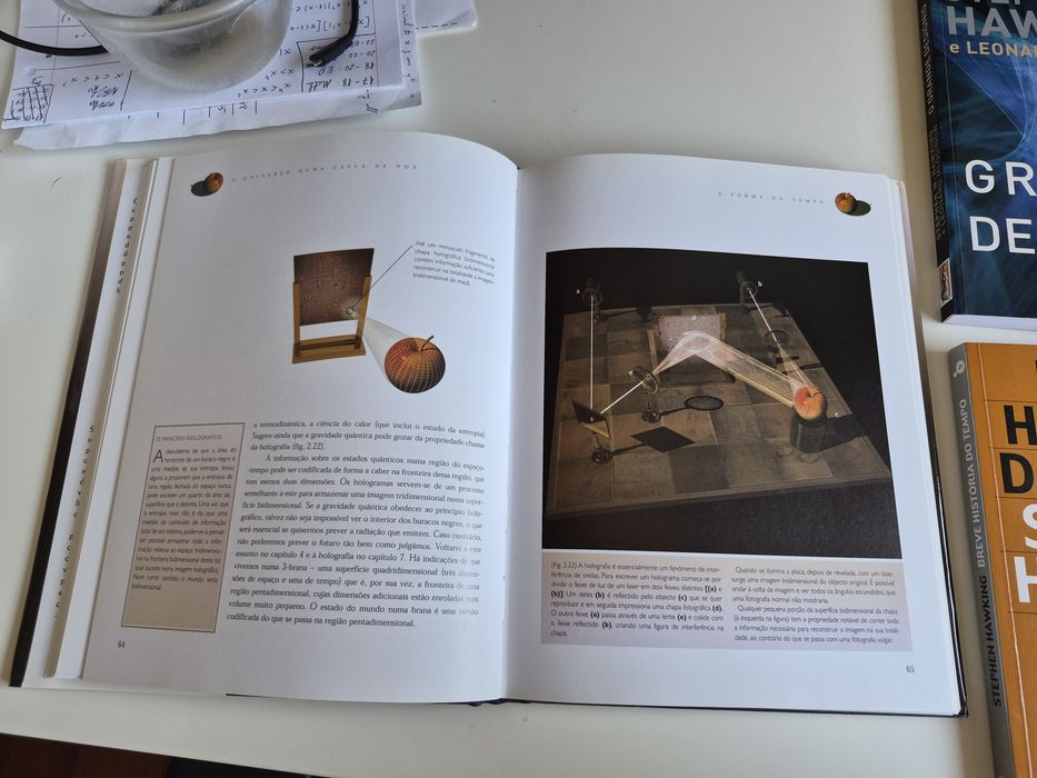 Lote de livros de Richard Feynman