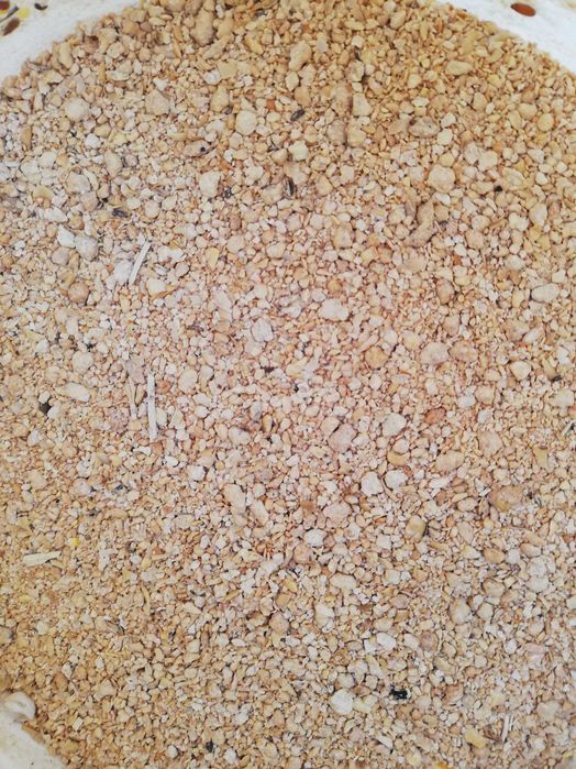 Soja dla kur karma pasza