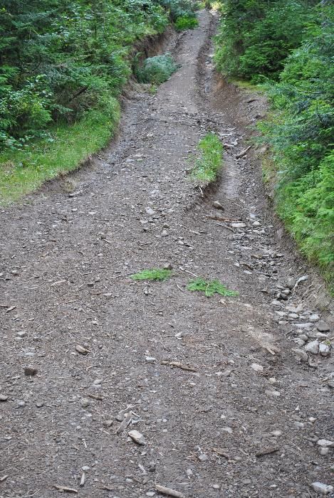 Земля в Закарпатті біля озера "Синевир"