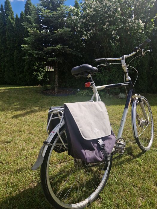 Gazelle rower duży
