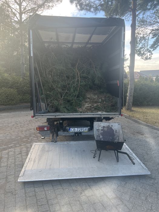 Frezowanie korzeni drzew, wycinka drzew, utylizacja odpadow zielonych