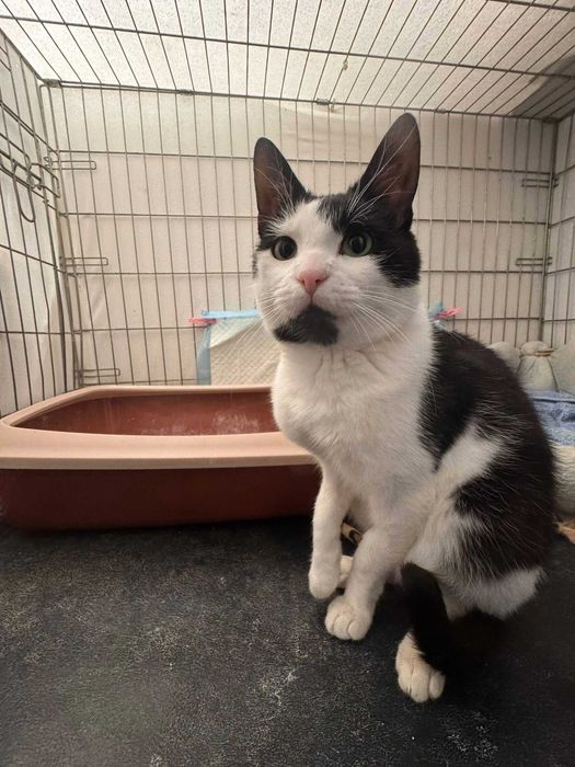 kto mnie przygarnie?