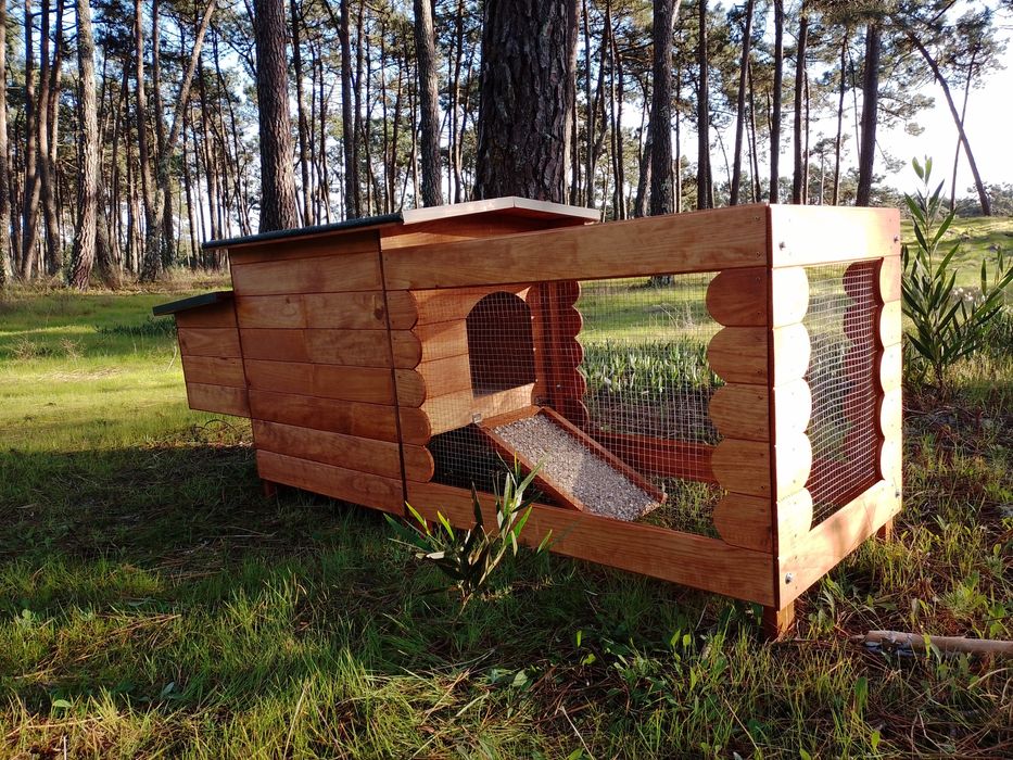 Capoeira para exterior