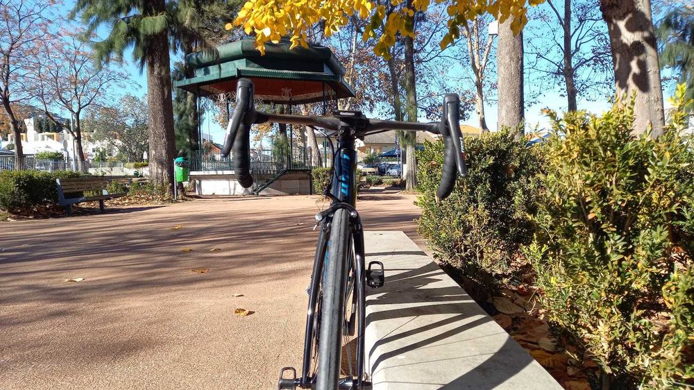 giant tcr advanced 2