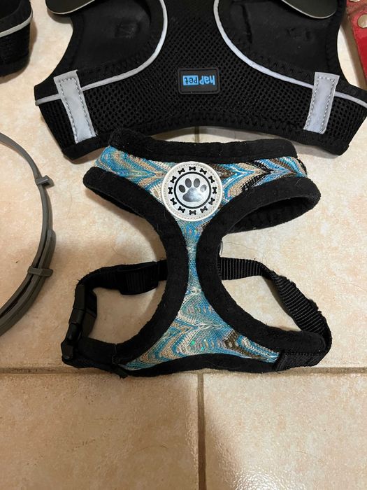 4 Szelki dla Psa XL, M, S, 2 Smycze, 5 Obroży i Regulowany Kaganiec