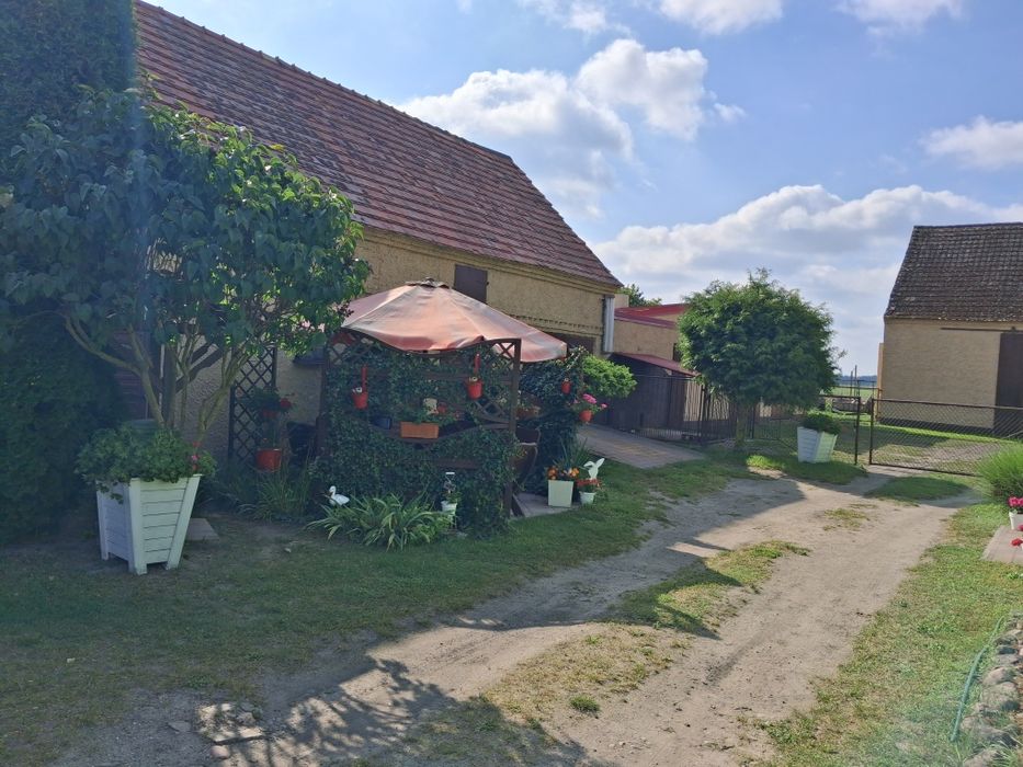 Dom z garażami i ogrodem