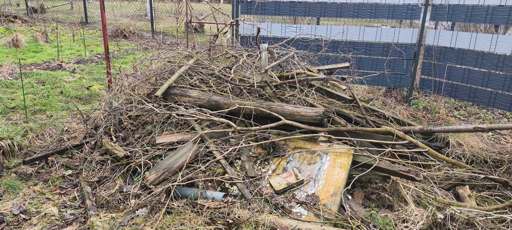 Oddam za darmo gałęzie i drewno z rozbiórki małej szopy