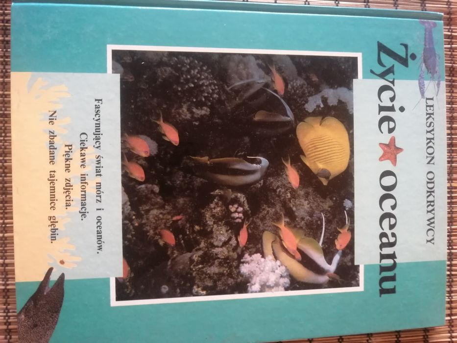 Życie oceanu mały odkrywca, książka dla dzieci