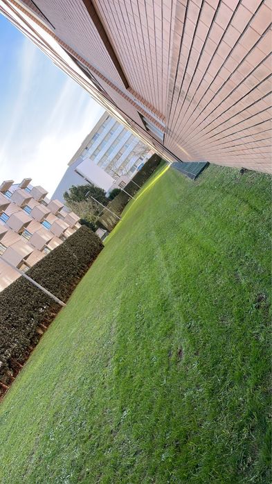 Jardinagem/ limpeza de terrenos/ Abates / limpezas de condominios