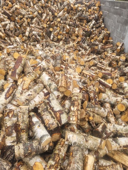 Metry układane Brzoza