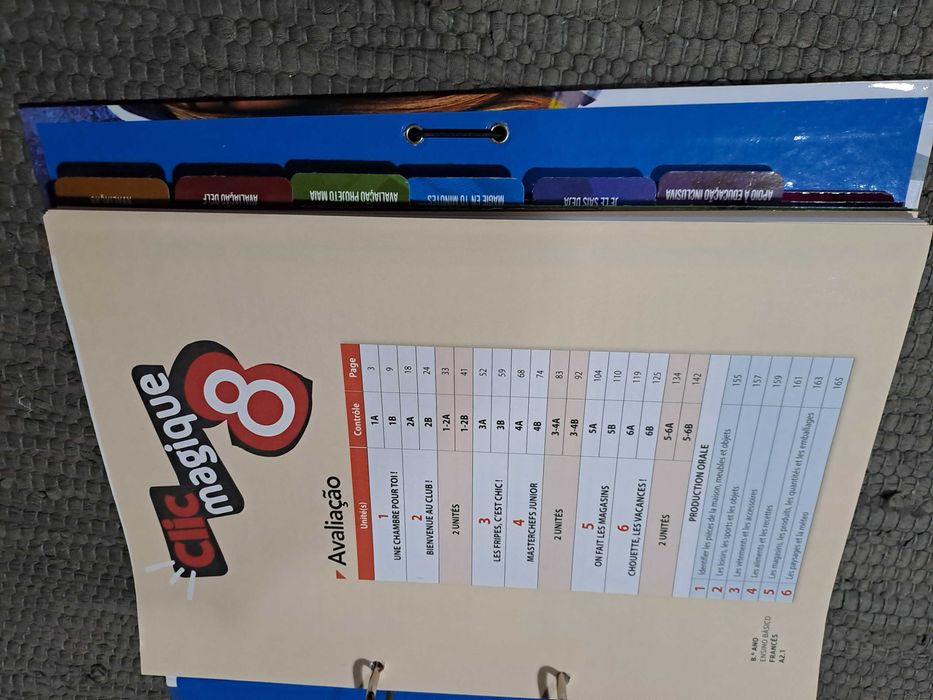 Clique Magique  - 8º ano - Livro do Professor ( Caderno do Aluno, Fichas, Recursos)