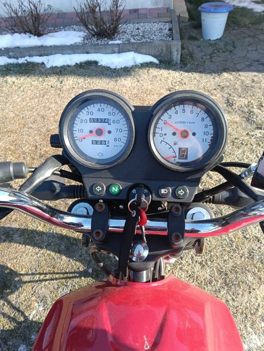 BARTON Fighter ECO 50