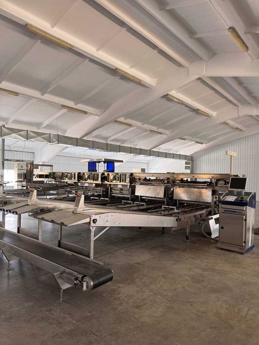 Сортувальна машина для яєць Moba Omnia 170