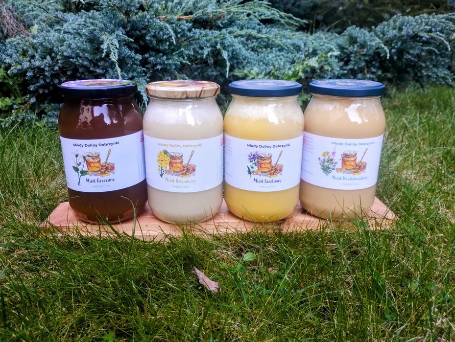 Zestaw Miodów Gryczany Lipowy Wielokwiatowy Rzepakowy 2025 r Polskic