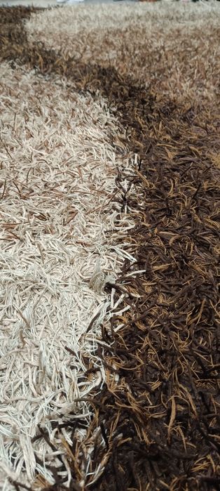 Tapete em excelente condições