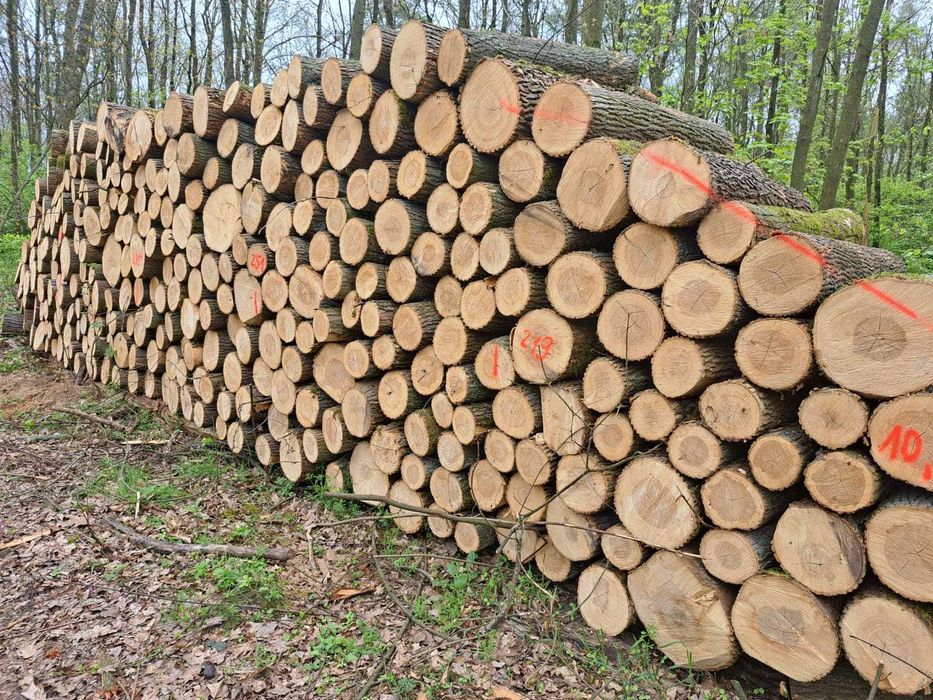 Drewno Kominkowe Opałowe Sezonowane  Mokre