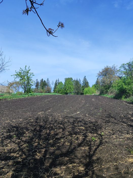 Продам будинок в селі Поправка