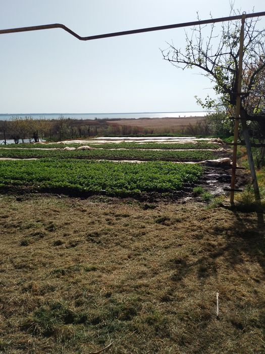 Дом,продажа,обмен на желье в г.Измаил по договоренности,варианты...