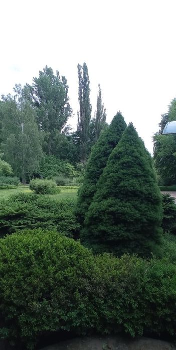 Будинок Маєток подобово з Сауной на дровах