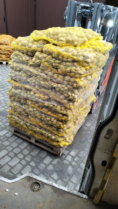 Sprzedam ziemniaki jadalne / paszowe / sadzeniaki