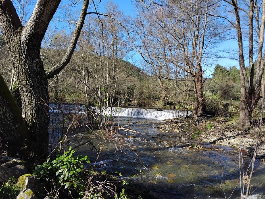 Terreno a beira da ribeira!