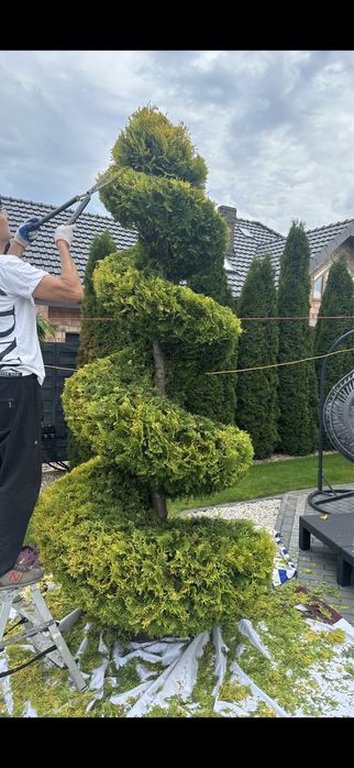 Ogrody ,formowanie krzewów ozdobnych,pielegnacja