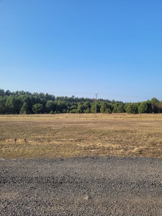 Działka budowlana przy lesie - 25 km od niemieckiej granicy Słubice/Świecko