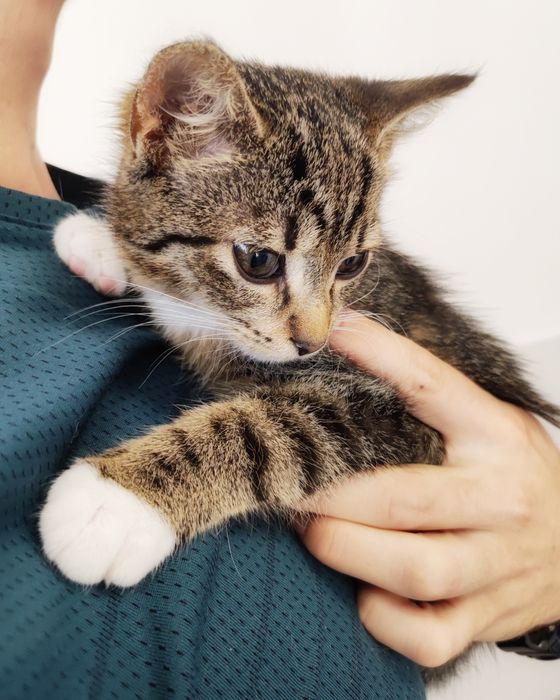 Maleństwo szuka miłości :)