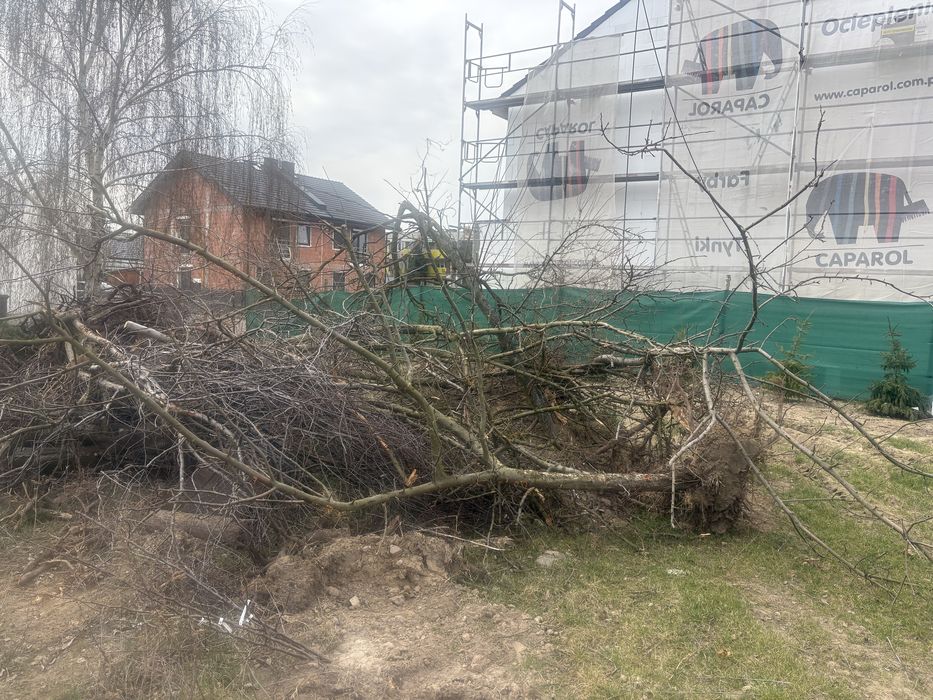 Drewno na opał, do kominka
