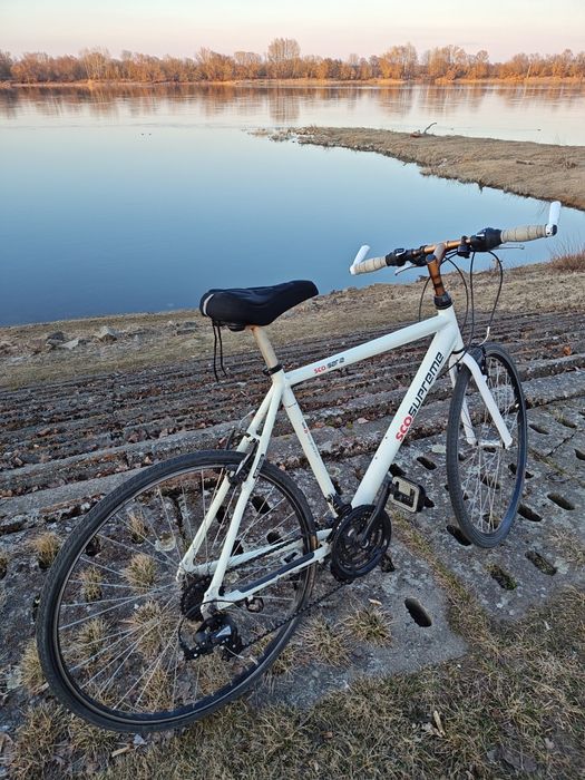 Rower męski Sco supreme