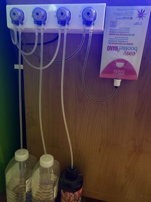 Akwarium morskie z calym sprzetem