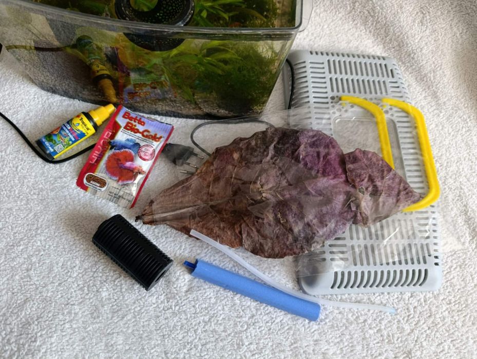 Akwarium z wyposażeniem