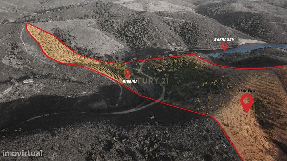 Terreno Agrícola com 8 Hectares — Produção, Água e Natureza em Santana — Santana da Serra, Beja