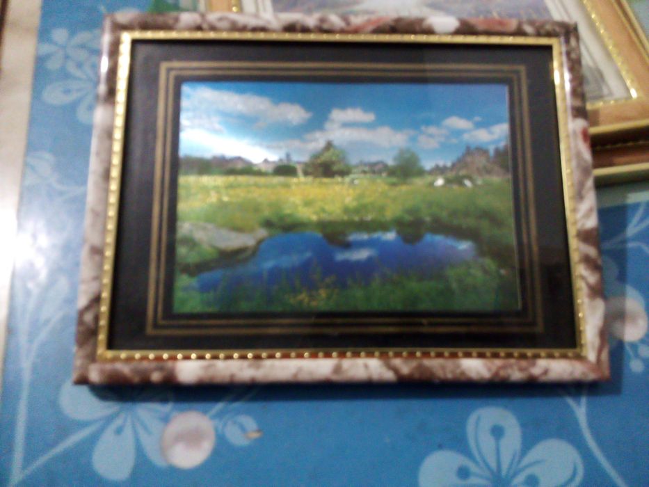 Продам картину природы