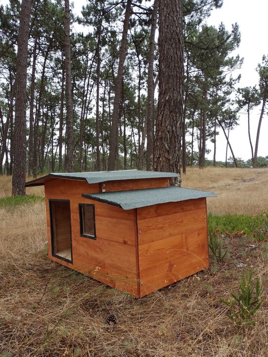 Casota para pastor astraliano